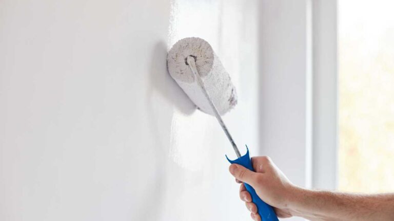 Painting Services Bayside